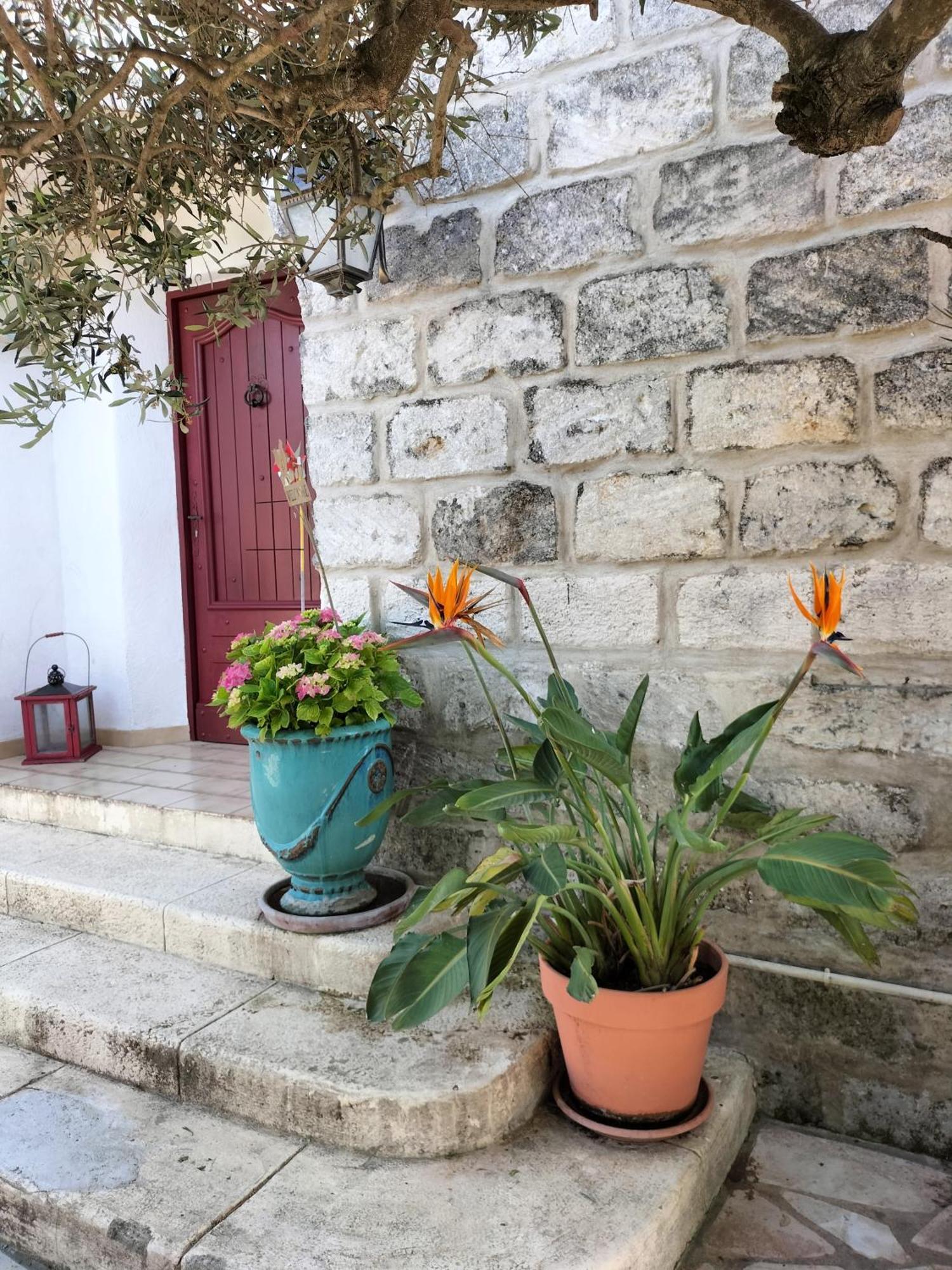 Charmant Appart Avec Jardin Эг-Морт Экстерьер фото
