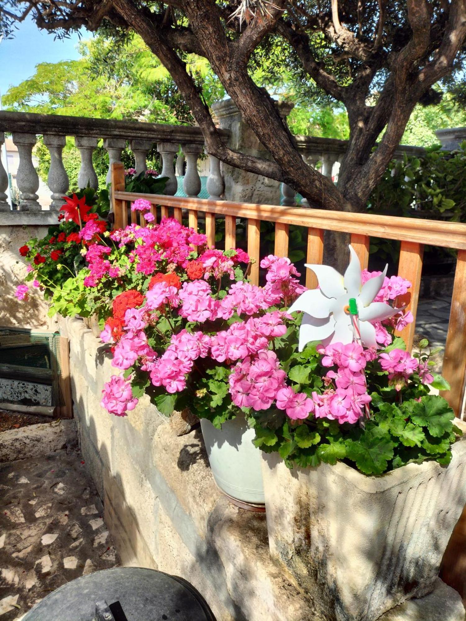 Charmant Appart Avec Jardin Эг-Морт Экстерьер фото
